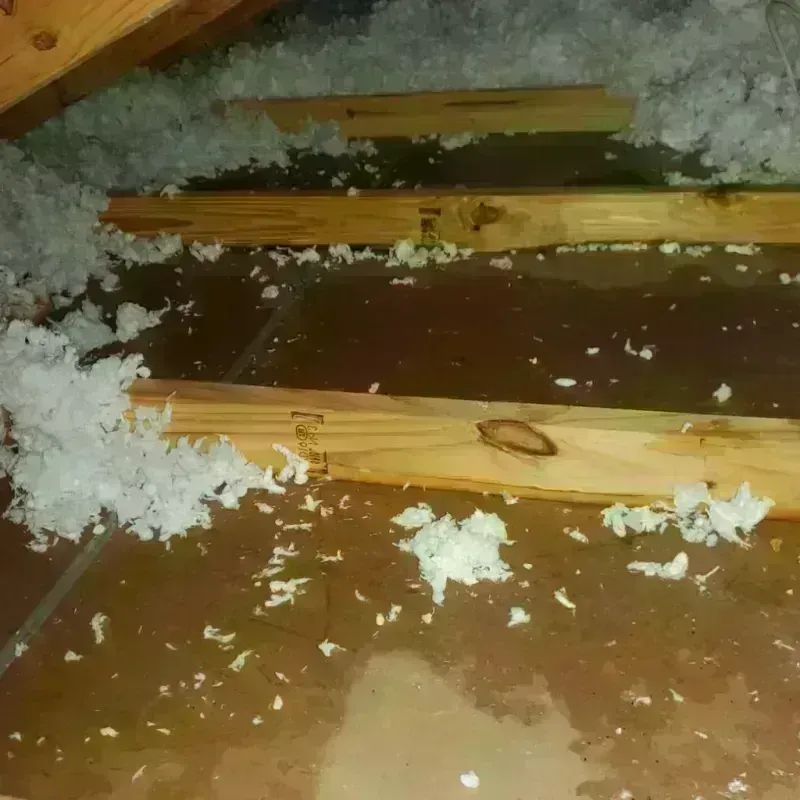 Attic Water Damage in Lincolnton, NC